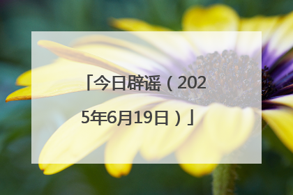 今日辟谣（2025年6月19日）
