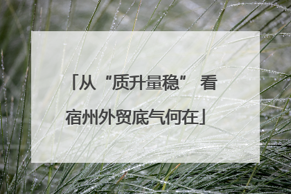 从“质升量稳” 看宿州外贸底气何在