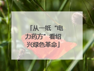 从一纸“电力药方”看绍兴绿色革命