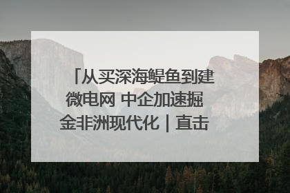 从买深海鳀鱼到建微电网 中企加速掘金非洲现代化｜直击中非经贸博览会