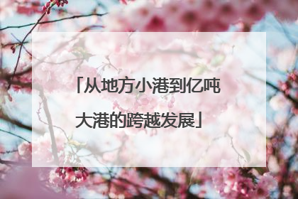 从地方小港到亿吨大港的跨越发展