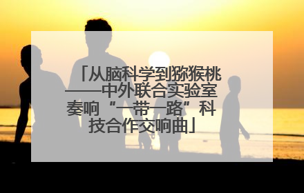 从脑科学到猕猴桃——中外联合实验室奏响“一带一路”科技合作交响曲
