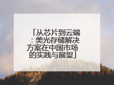从芯片到云端：美光存储解决方案在中国市场的实践与展望