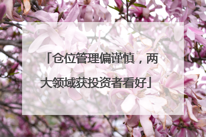 仓位管理偏谨慎，两大领域获投资者看好
