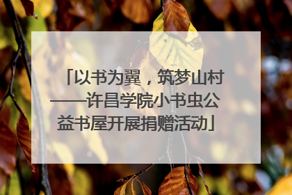 以书为翼，筑梦山村——许昌学院小书虫公益书屋开展捐赠活动