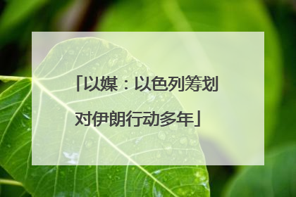 以媒：以色列筹划对伊朗行动多年