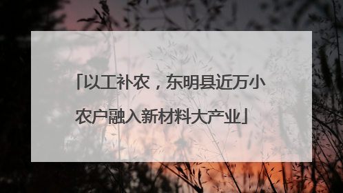 以工补农，东明县近万小农户融入新材料大产业