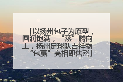 以扬州包子为原型，圆润饱满，“蒸”腾向上，扬州足球队吉祥物“包赢”亮相即售罄
