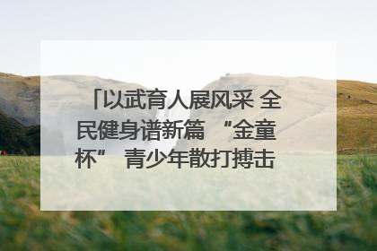 以武育人展风采 全民健身谱新篇 “金童杯” 青少年散打搏击邀请赛圆满落幕