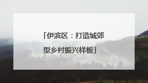 伊滨区：打造城郊型乡村振兴样板
