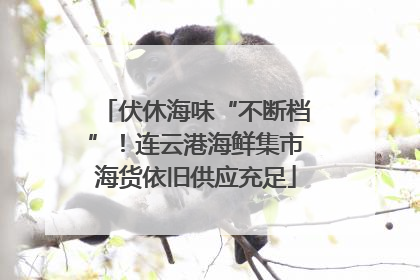 伏休海味“不断档”！连云港海鲜集市海货依旧供应充足