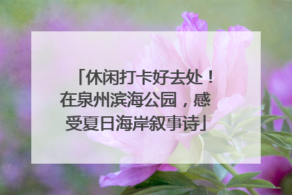 休闲打卡好去处！在泉州滨海公园，感受夏日海岸叙事诗