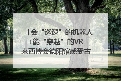 会“巡逻”的机器人+能“穿越”的VR 来西博会德阳馆感受古蜀文明与现代智造的时空对话｜西博视界
