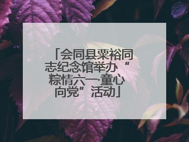 会同县粟裕同志纪念馆举办“粽情六一·童心向党”活动