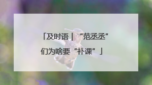 及时语｜“范丞丞”们为啥要“补课”