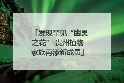 发现罕见“幽灵之花” 贵州植物家族再添新成员