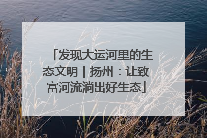 发现大运河里的生态文明｜扬州：让致富河流淌出好生态
