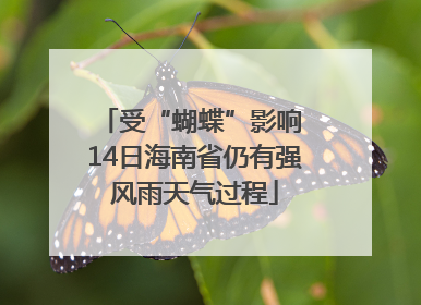 受“蝴蝶”影响 14日海南省仍有强风雨天气过程