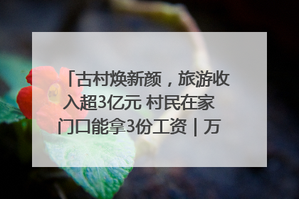 古村焕新颜，旅游收入超3亿元 村民在家门口能拿3份工资｜万千气象看四川