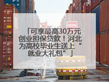 可享最高30万元创业担保贷款！河北为高校毕业生送上“就业大礼包”