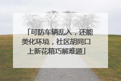 可防车辆乱入，还能美化环境，社区胡同口上新花箱巧解难题