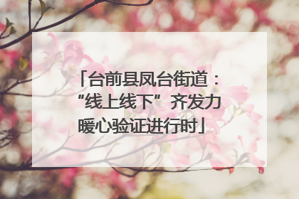 台前县凤台街道：“线上线下”齐发力 暖心验证进行时