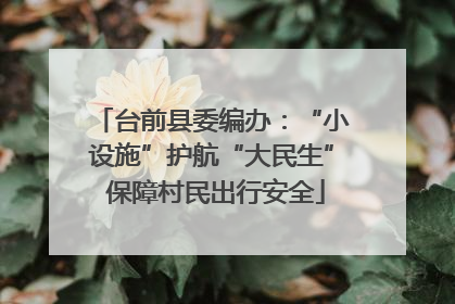 台前县委编办：“小设施”护航“大民生” 保障村民出行安全