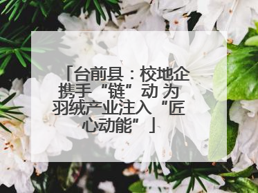 台前县：校地企携手“链”动 为羽绒产业注入“匠心动能”