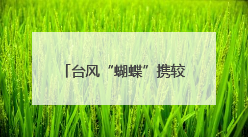 台风“蝴蝶”携较强风雨影响三亚：一女子被树砸倒送医，无大碍当天回家 当地已紧急清障