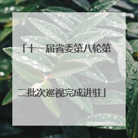 十一届省委第八轮第二批次巡视完成进驻