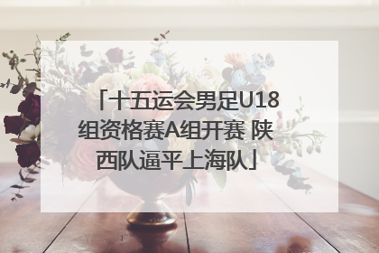 十五运会男足U18组资格赛A组开赛 陕西队逼平上海队