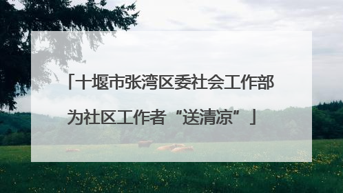 十堰市张湾区委社会工作部为社区工作者“送清凉”