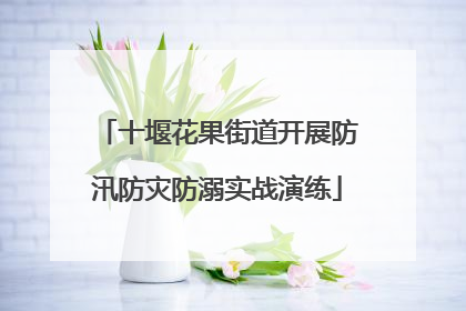 十堰花果街道开展防汛防灾防溺实战演练