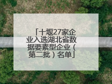 十堰27家企业入选湖北省数据要素型企业（第二批）名单