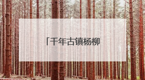千年古镇杨柳青绘就“人民城市”育人新篇