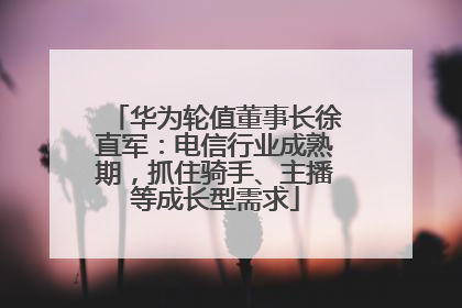 华为轮值董事长徐直军：电信行业成熟期，抓住骑手、主播等成长型需求