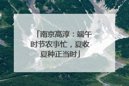 南京高淳：端午时节农事忙，夏收夏种正当时