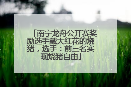 南宁龙舟公开赛奖励选手戴大红花的烧猪，选手：前三名实现烧猪自由