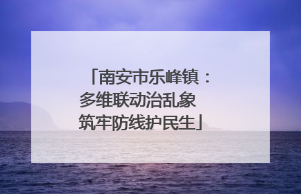 南安市乐峰镇：多维联动治乱象 筑牢防线护民生