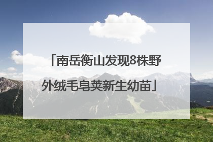 南岳衡山发现8株野外绒毛皂荚新生幼苗