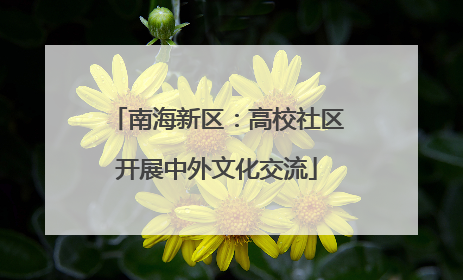 南海新区：高校社区开展中外文化交流