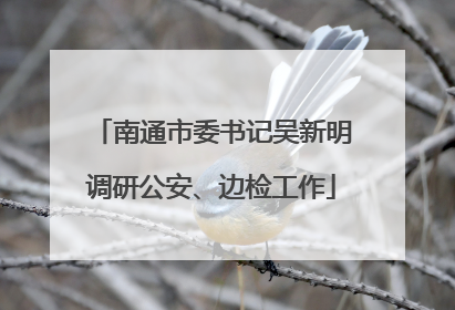 南通市委书记吴新明调研公安、边检工作