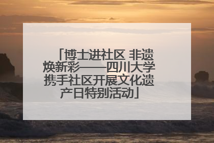 博士进社区 非遗焕新彩——四川大学携手社区开展文化遗产日特别活动
