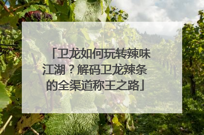 卫龙如何玩转辣味江湖？解码卫龙辣条的全渠道称王之路