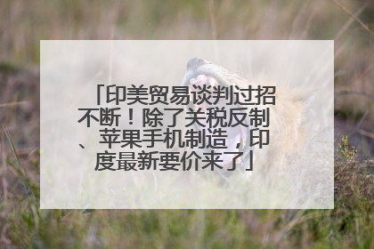 印美贸易谈判过招不断！除了关税反制、苹果手机制造，印度最新要价来了