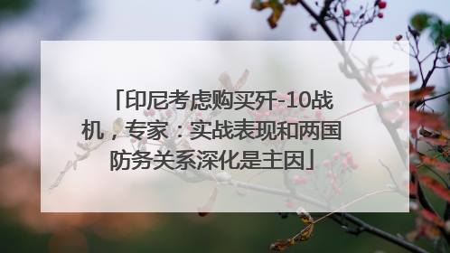 印尼考虑购买歼-10战机，专家：实战表现和两国防务关系深化是主因