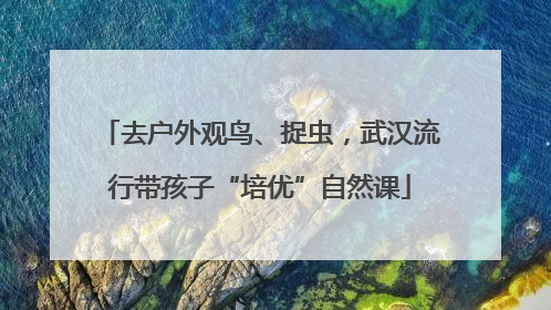 去户外观鸟、捉虫，武汉流行带孩子“培优”自然课