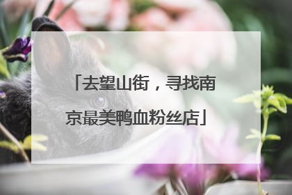 去望山街，寻找南京最美鸭血粉丝店