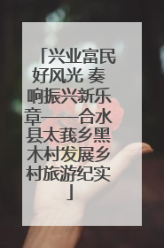 兴业富民好风光 奏响振兴新乐章——合水县太莪乡黑木村发展乡村旅游纪实