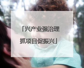 兴产业强治理 抓项目促振兴